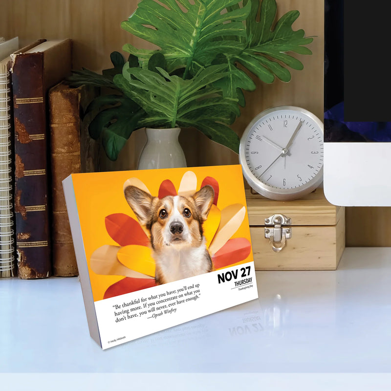 What Dogs Teach Us 2025 Box Calendar