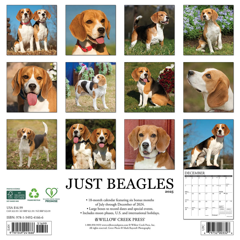 Beagles 2025 Wall Calendar