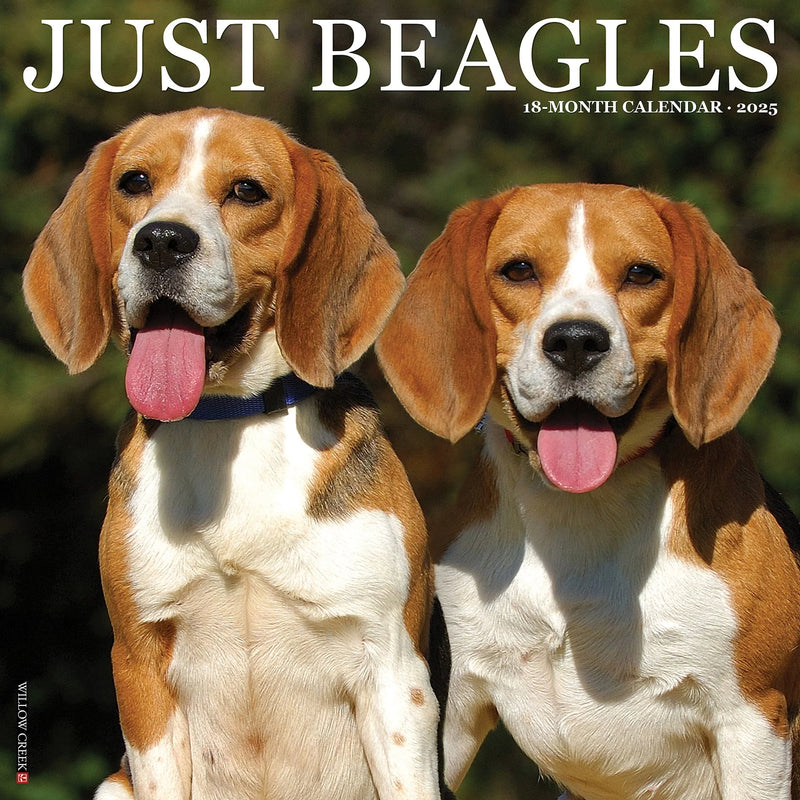 Beagles 2025 Wall Calendar