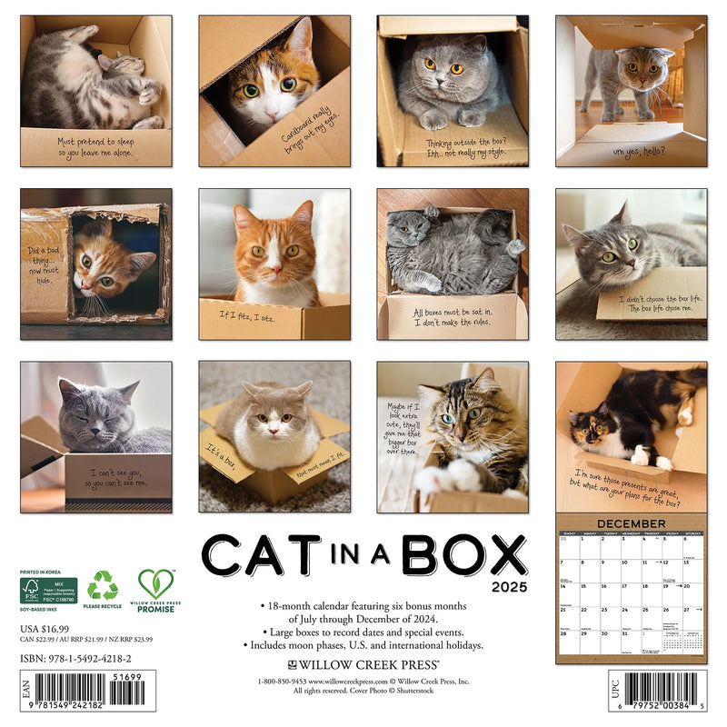 Cat in a Box 2025 Wall Calendar