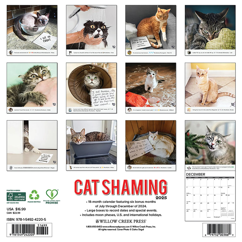 Cat Shaming 2025 Wall Calendar