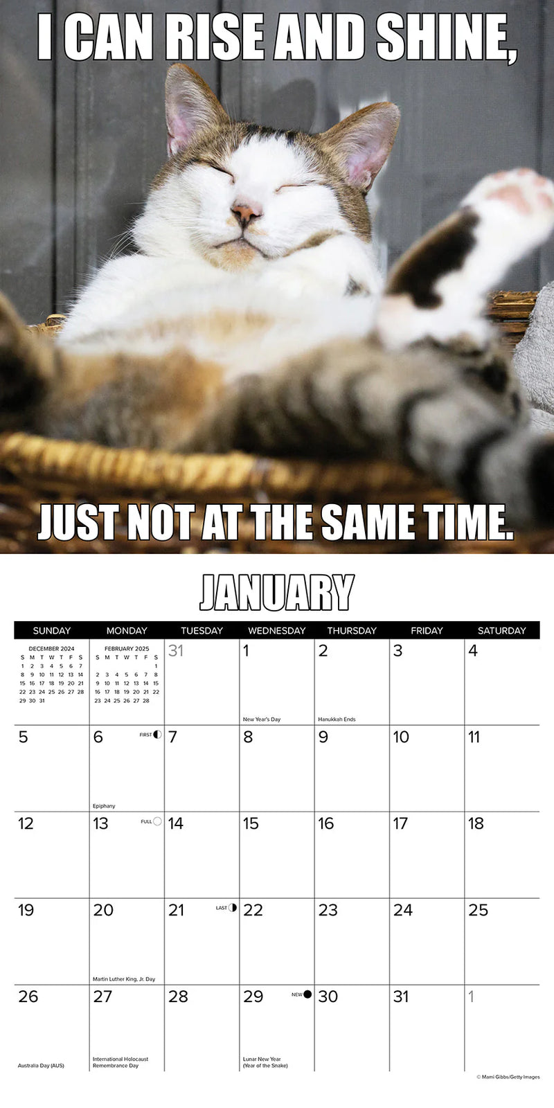 Cat-astrophe 2025 Wall Calendar