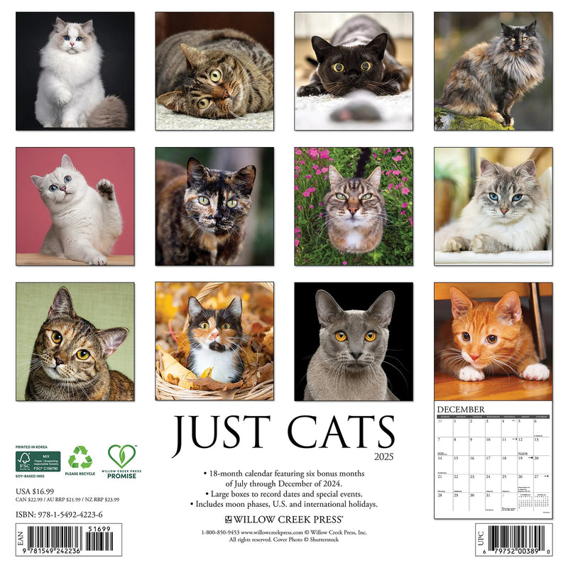 Cats 2025 Wall Calendar