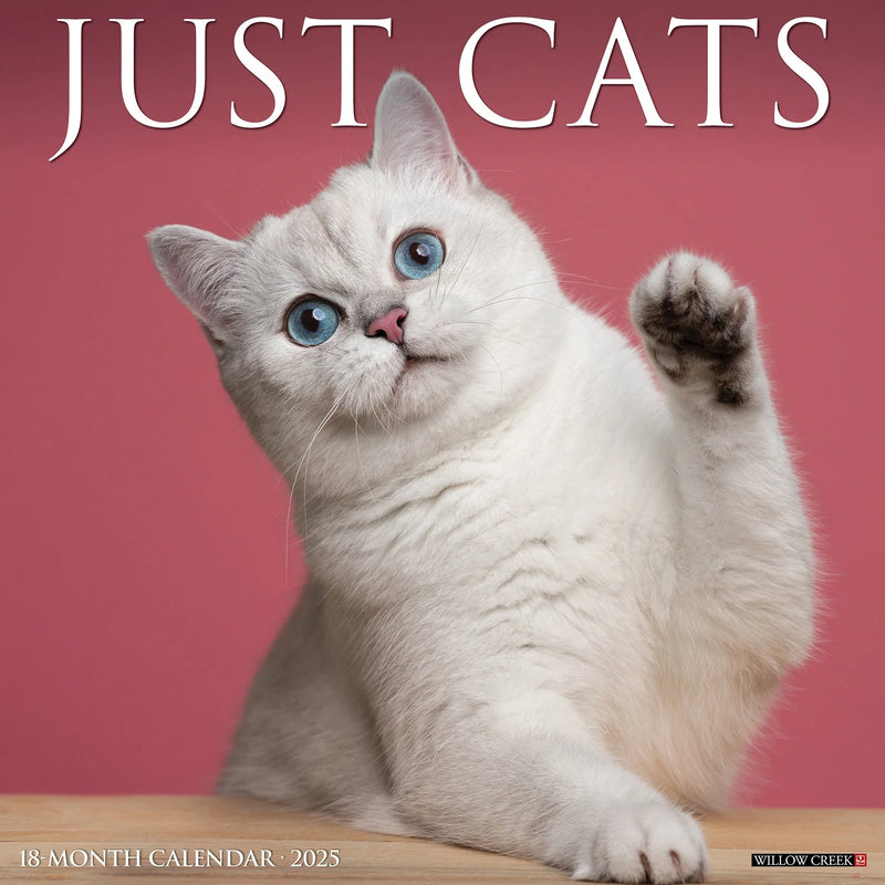 Cats 2025 Wall Calendar