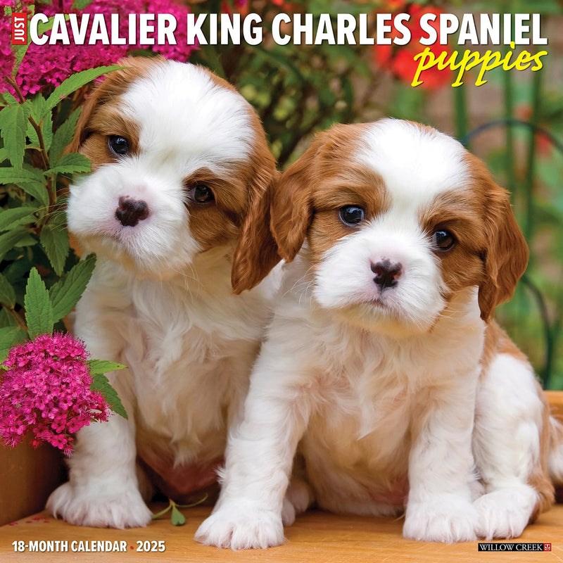 Cavalier King Charles Spaniel Puppies 2025 Wall Calendar