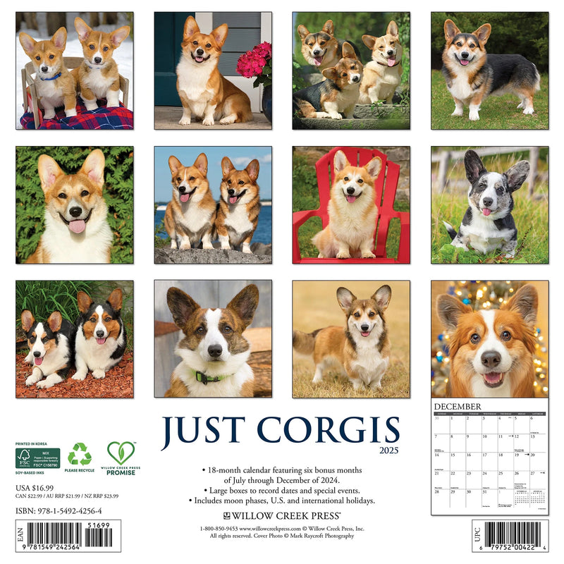 Corgis 2025 Wall Calendar