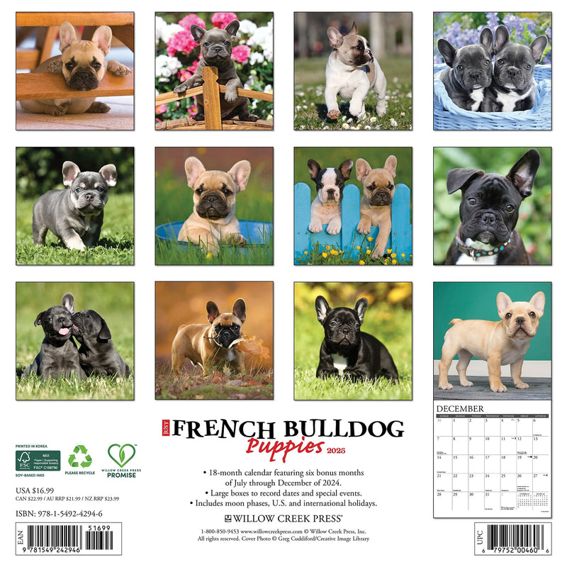 French Bulldog Puppies 2025 Wall Calendar