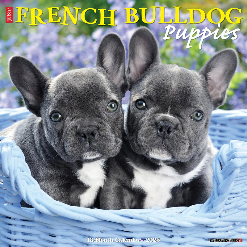 French Bulldog Puppies 2025 Wall Calendar