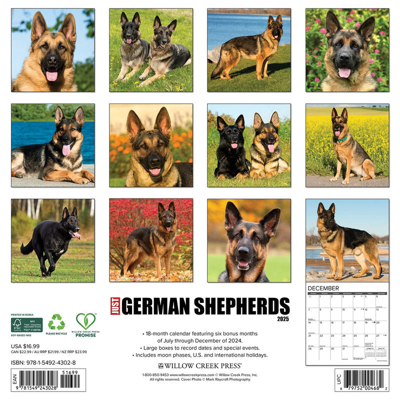 German Shepherds 2025 Wall Calendar