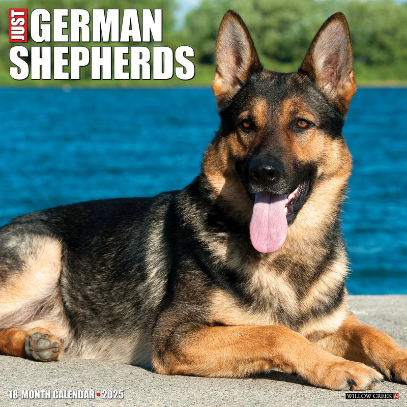 German Shepherds 2025 Wall Calendar