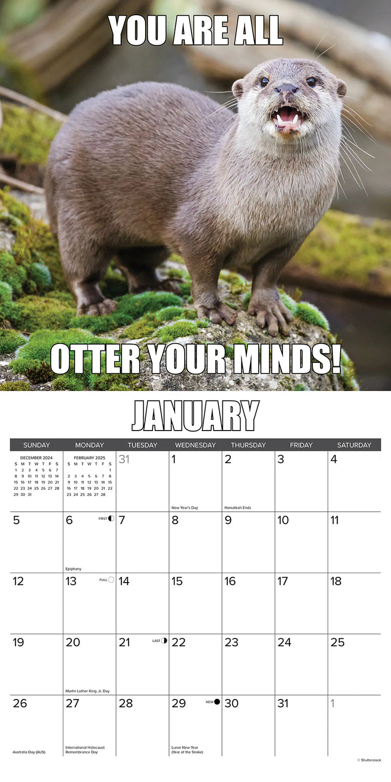 In Otter News 2025 Wall Calendar