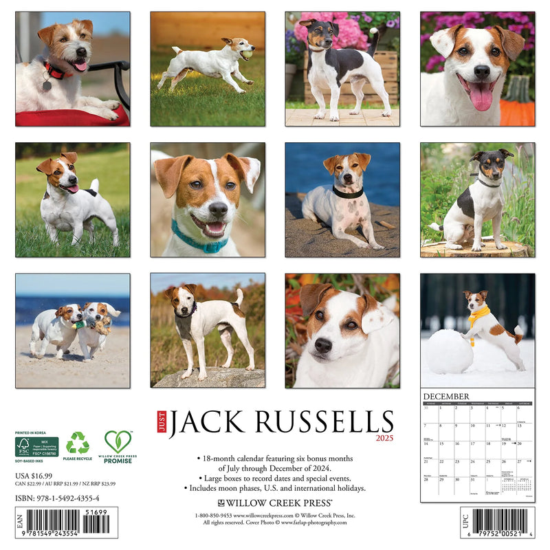 Jack Russells 2025 Wall Calendar