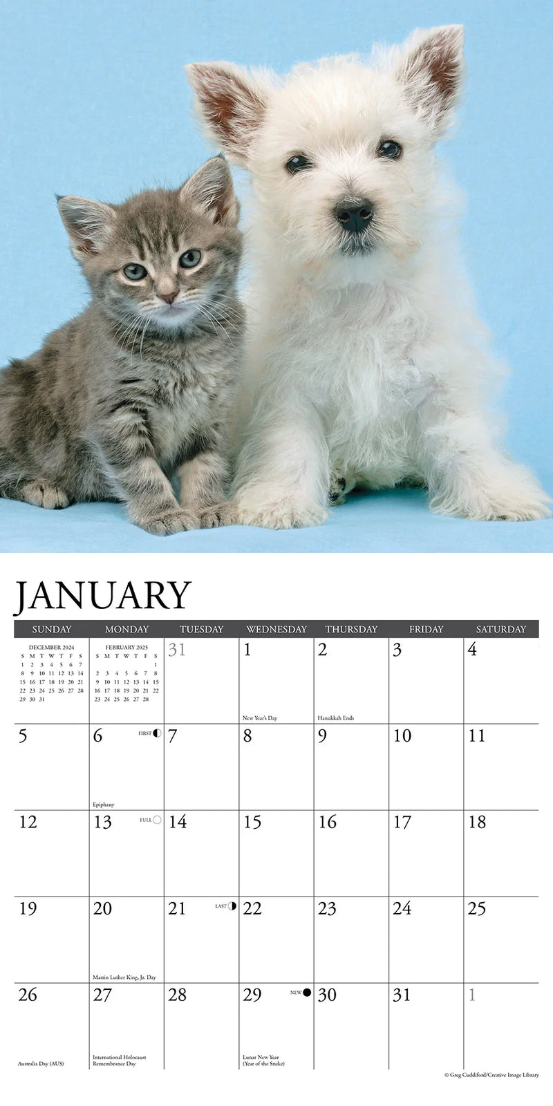 Kittens & Puppies 2025 Wall Calendar