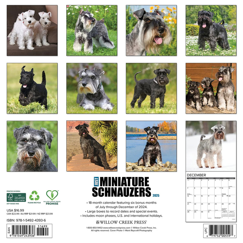 Miniature Schnauzers 2025 Wall Calendar