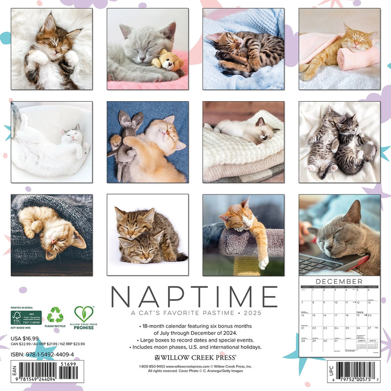 Naptime: A Cat's Favourite Pastime 2025 Wall Calendar