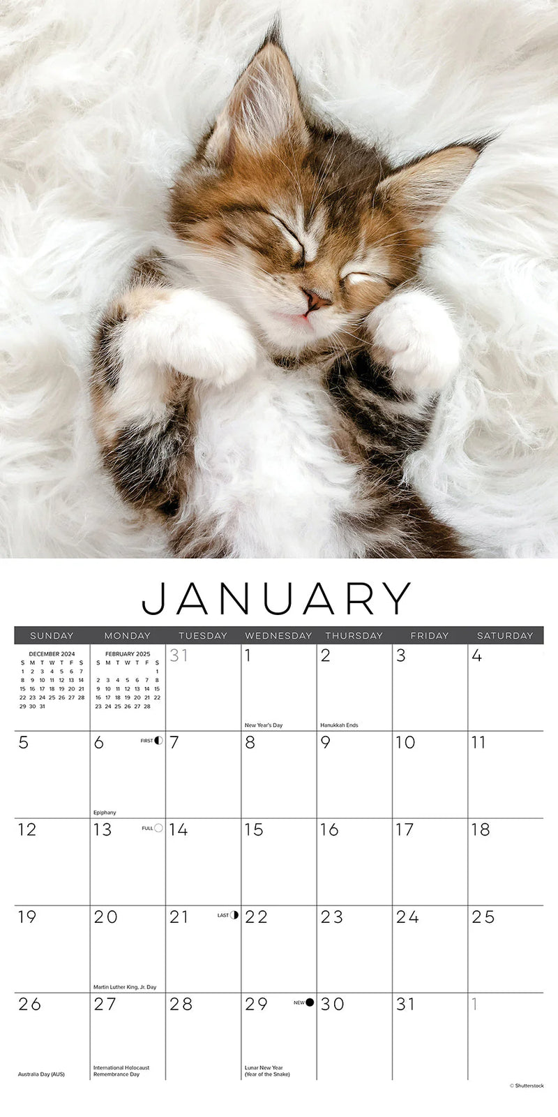 Naptime: A Cat's Favourite Pastime 2025 Wall Calendar