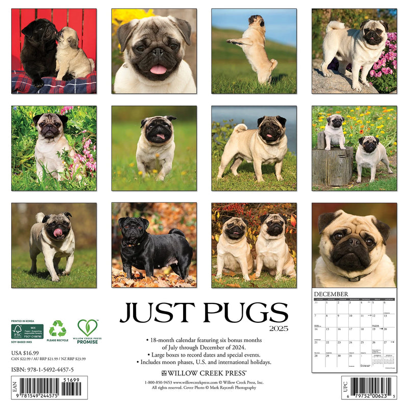 Pugs 2025 Wall Calendar