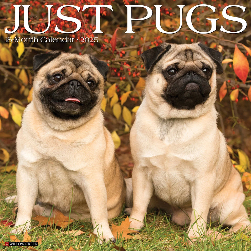 Pugs 2025 Wall Calendar