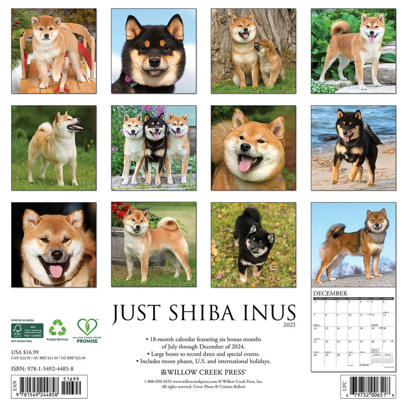 Shiba Inus 2025 Wall Calendar