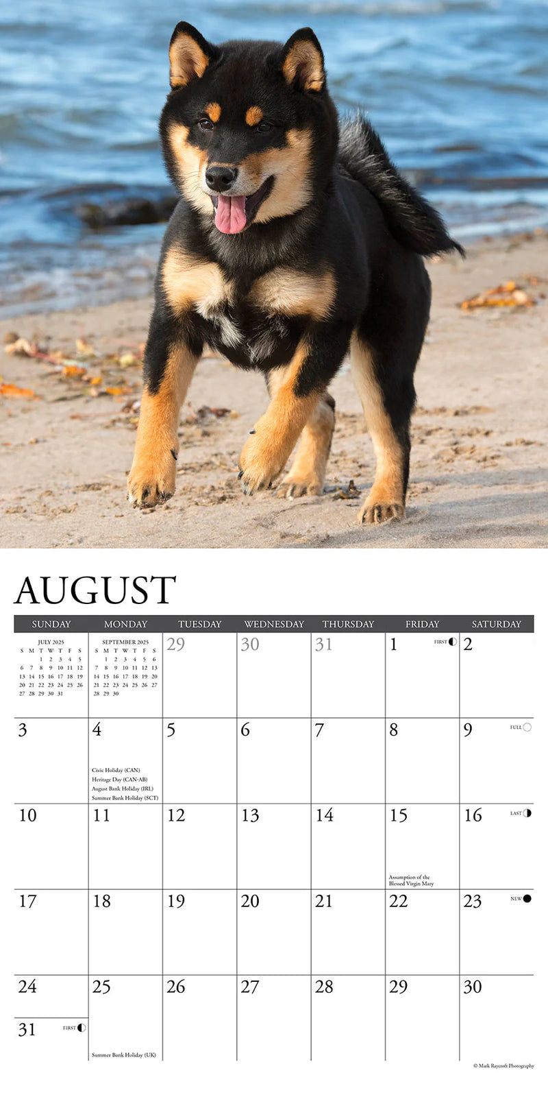 Shiba Inus 2025 Wall Calendar