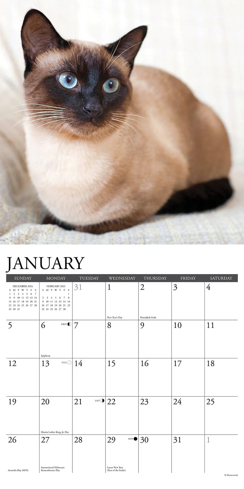 Siamese Cats 2025 Wall Calendar