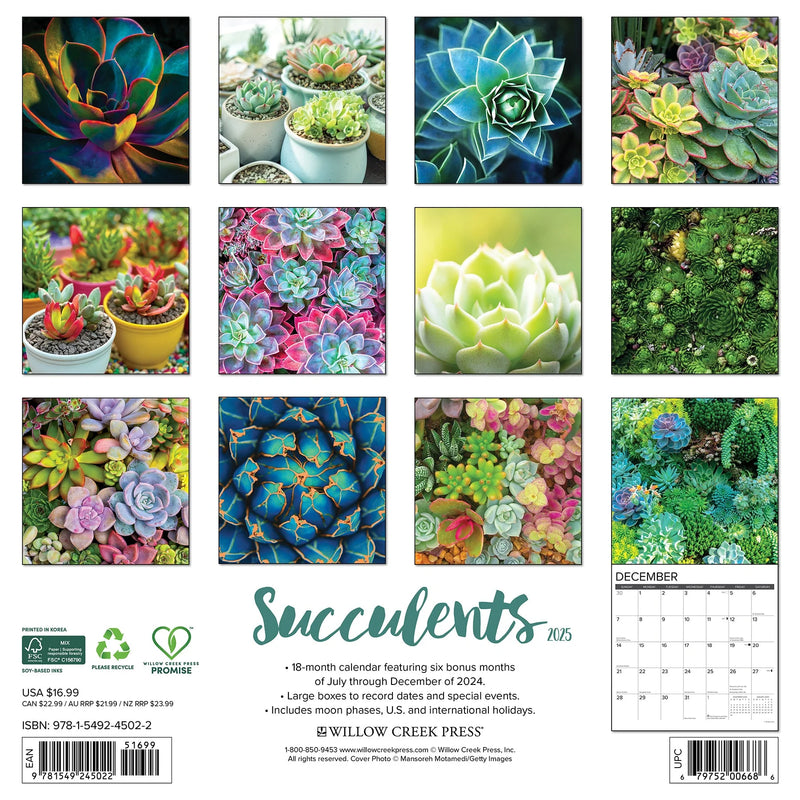 Succulents 2025 Wall Calendar