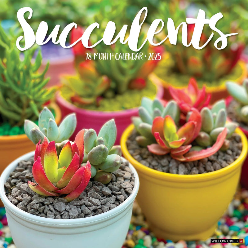 Succulents 2025 Wall Calendar