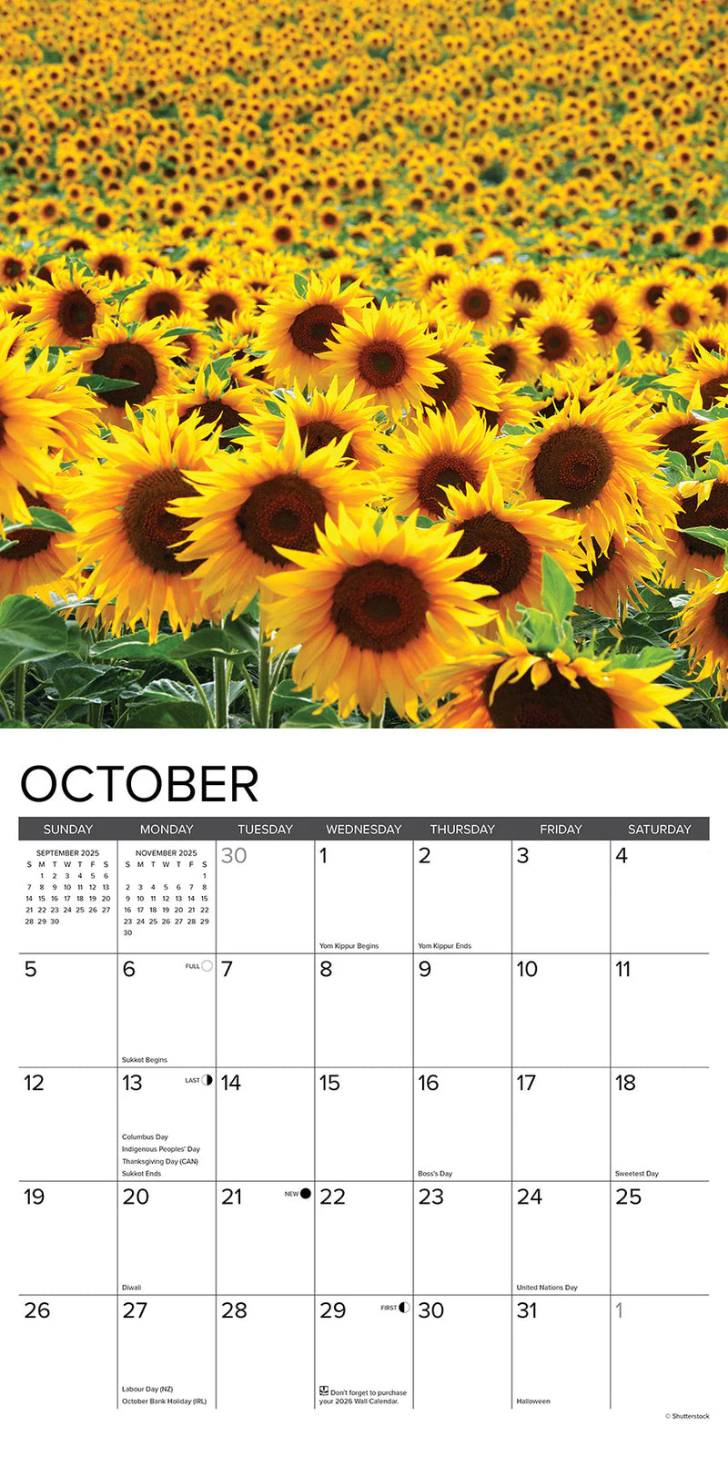 Sunflowers 2025 Wall Calendar