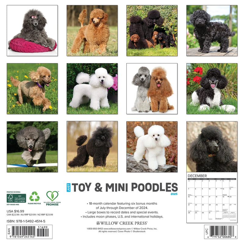 Toy & Miniature Poodles 2025 Wall Calendar