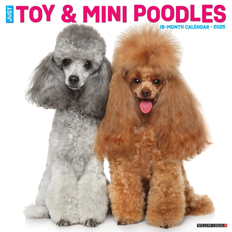 Toy & Miniature Poodles 2025 Wall Calendar