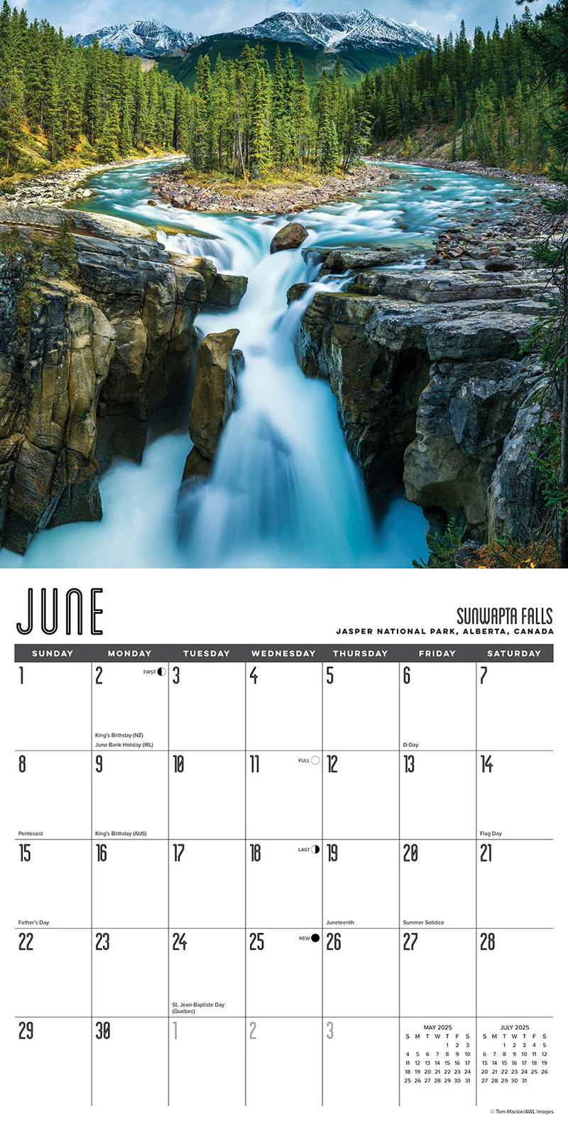 Travel Junkie 2025 Wall Calendar