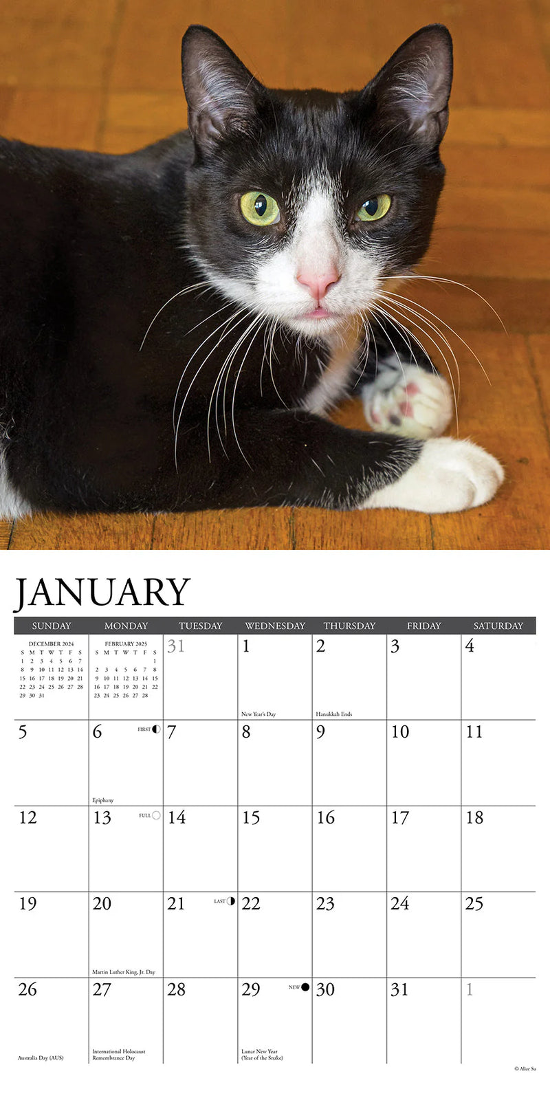 Tuxedo Cats 2025 Wall Calendar