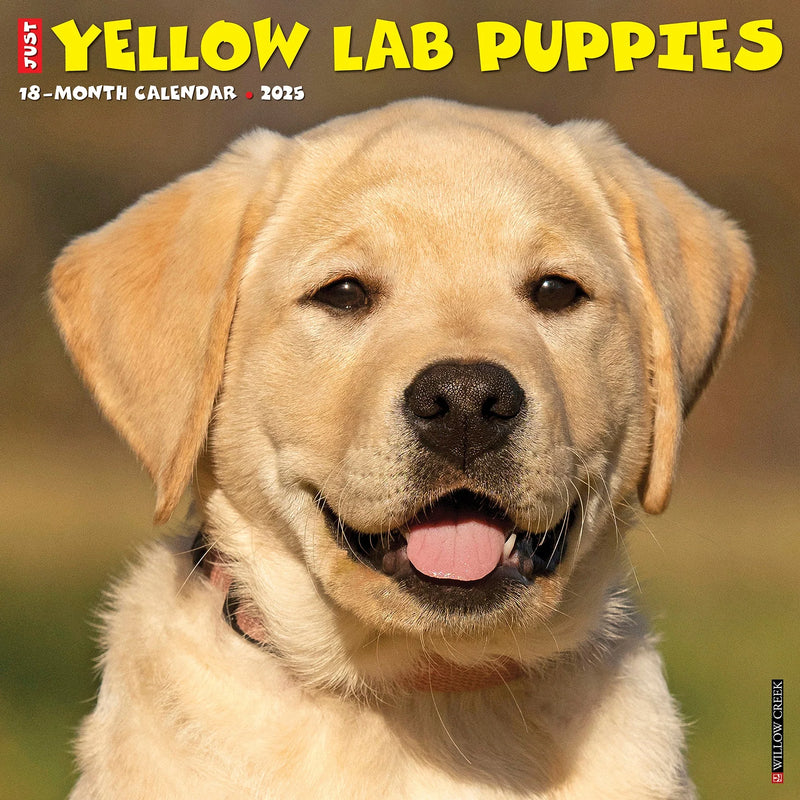 Yellow Lab Puppies 2025 Wall Calendar