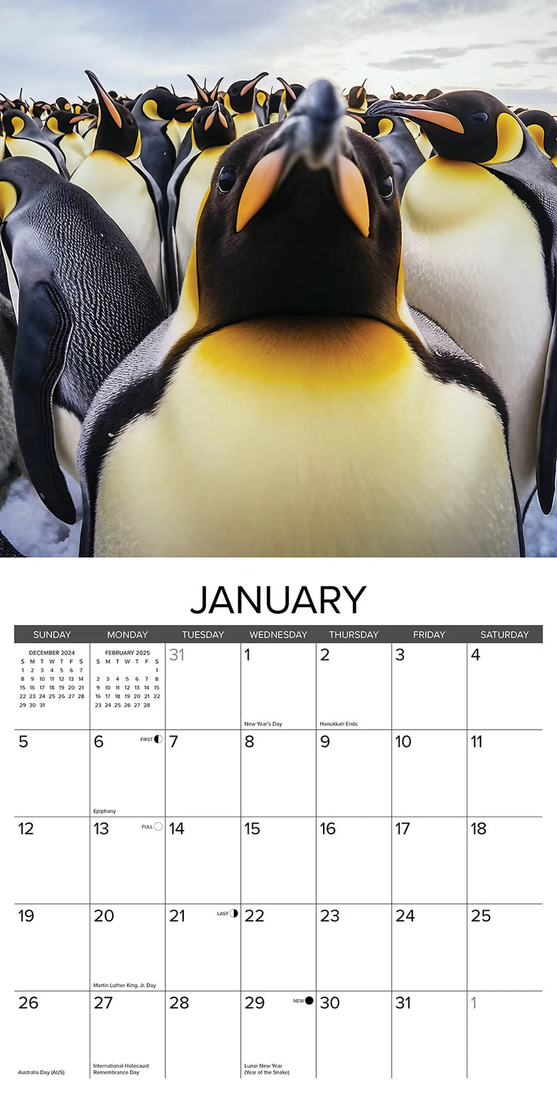 Animal Selfies 2025 Wall Calendar