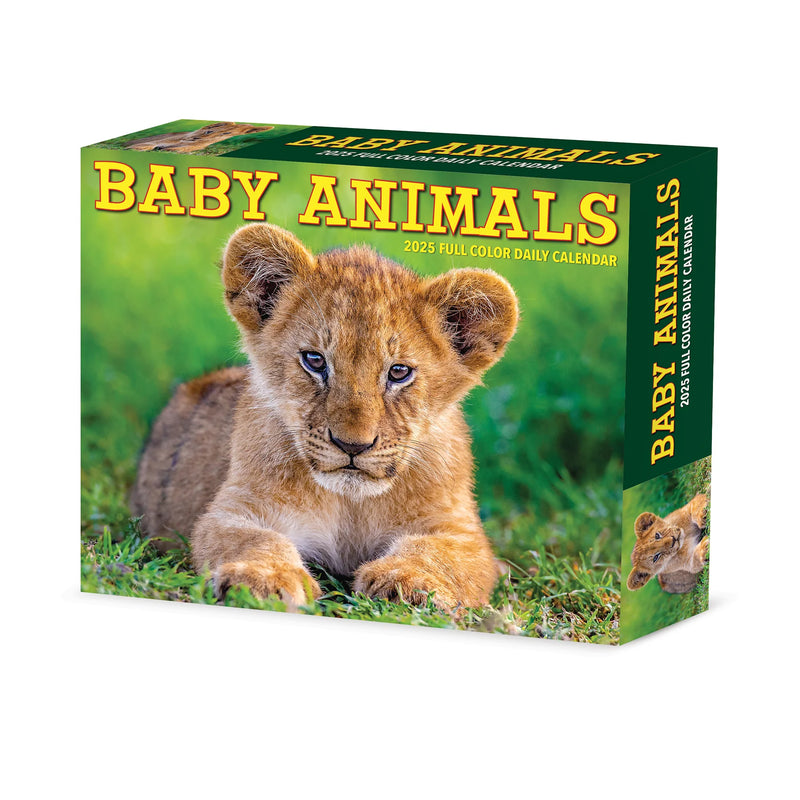 Baby Animals 2025 Box Calendar