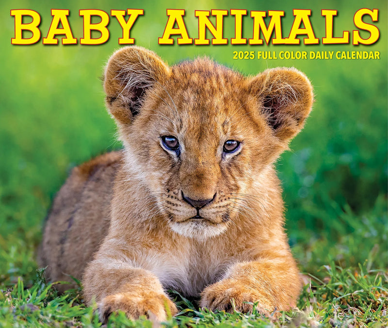 Baby Animals 2025 Box Calendar