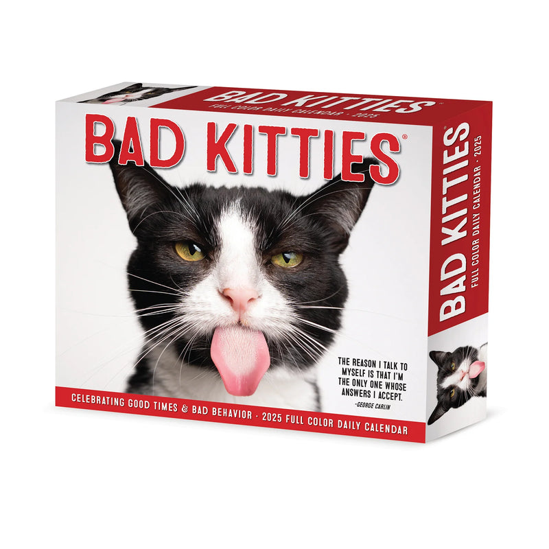 Bad Kitties 2025 Box Calendar