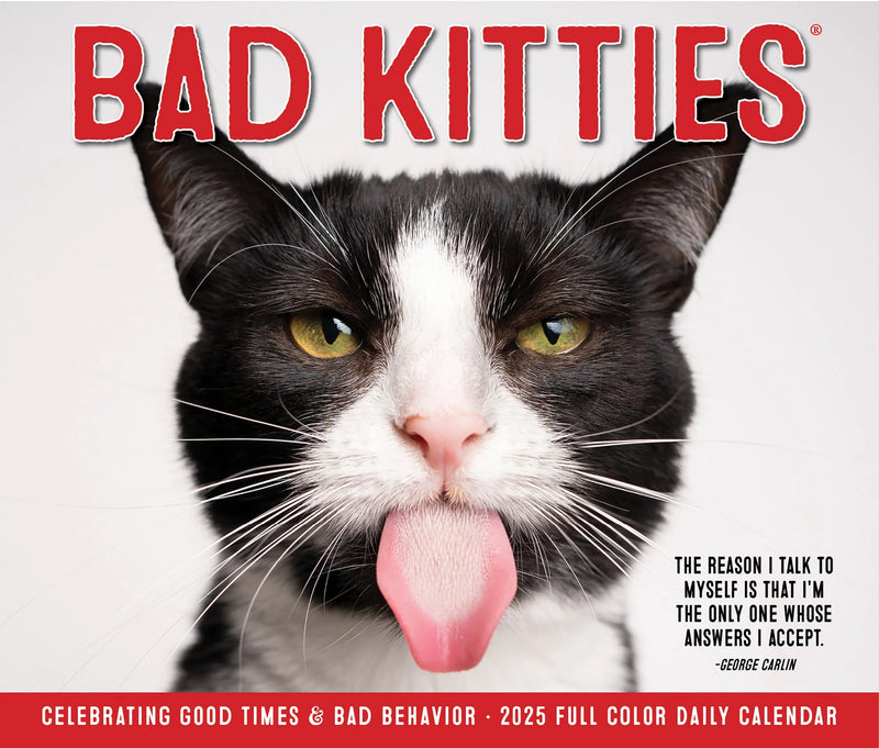 Bad Kitties 2025 Box Calendar