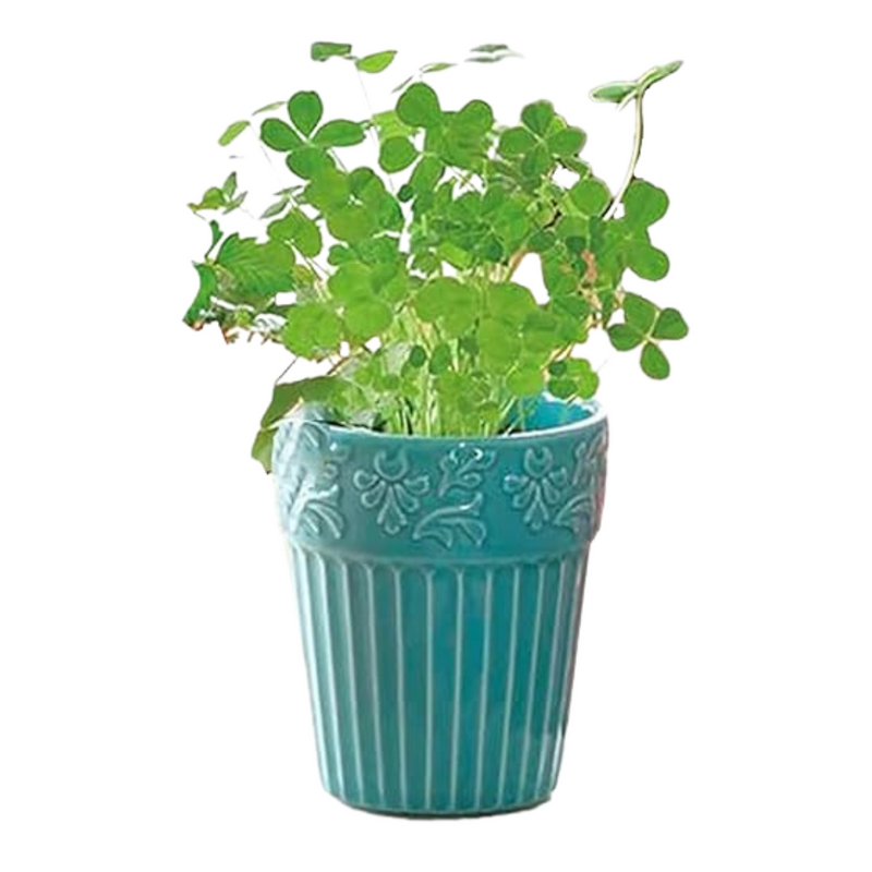 Botanical Pot - Four-Leaf Clover