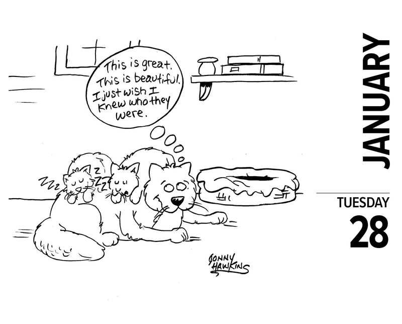 Cat Cartoon-A-Day by Jonny Hawkins 2025 Box Calendar