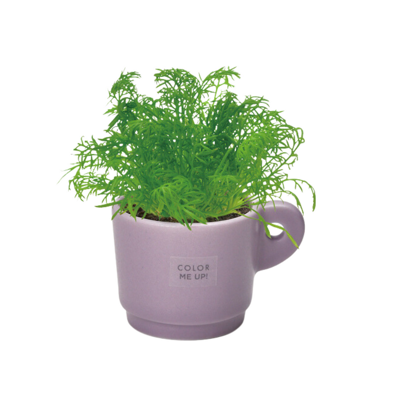 Colour Me Up Mug - Purple - Mild Chamomile