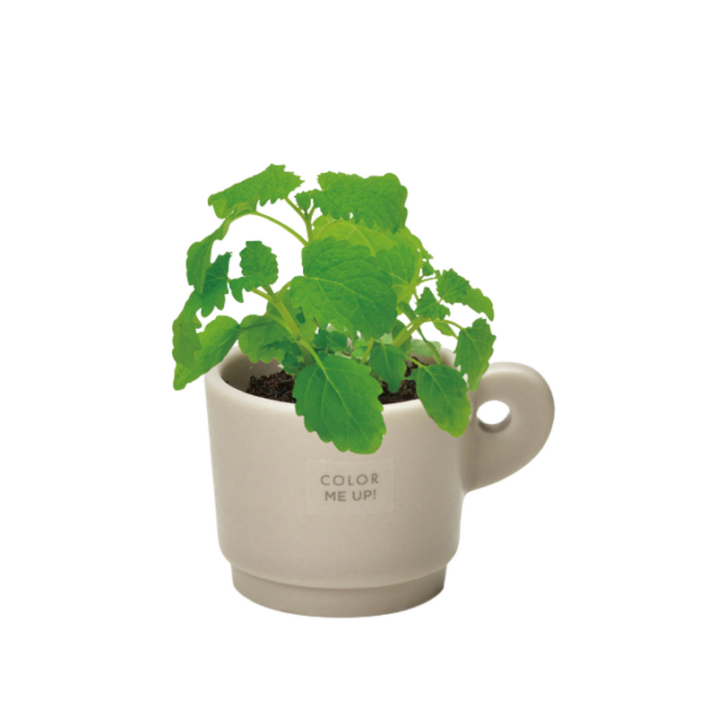 Colour Me Up Mug - Beige - Lemon Balm