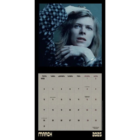 David Bowie 2025 Collector's Edition Record Sleeve Calendar