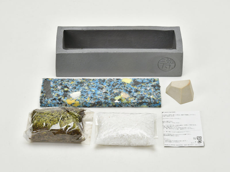 Kawara-Bonkei - Decorative Moss Garden Kit