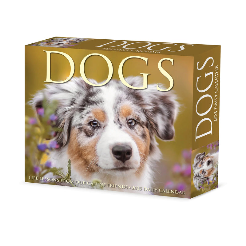 Dogs 2025 Box Calendar