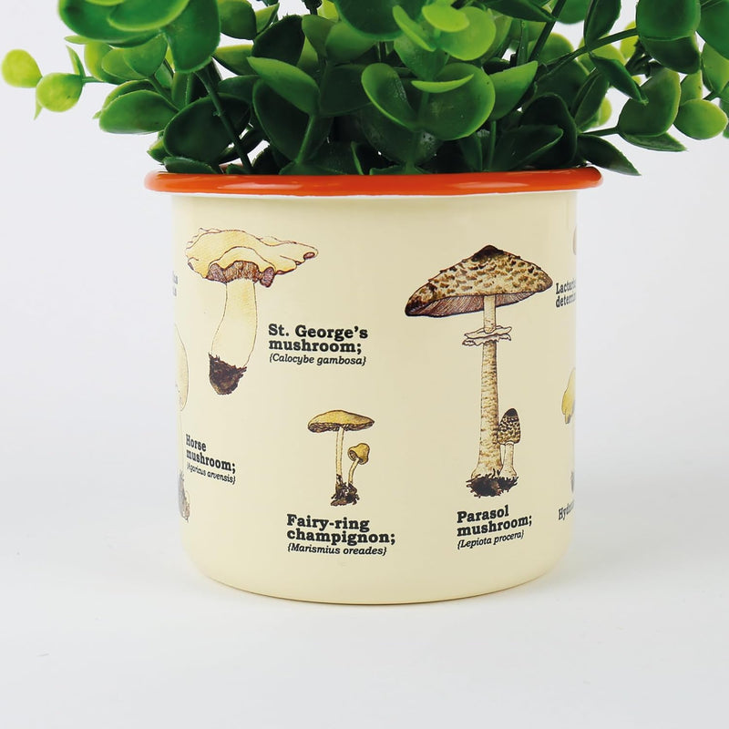 Enamel Plant Pot - Mushrooms