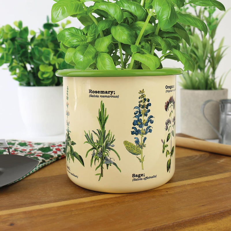 Enamel Plant Pot - Herbs