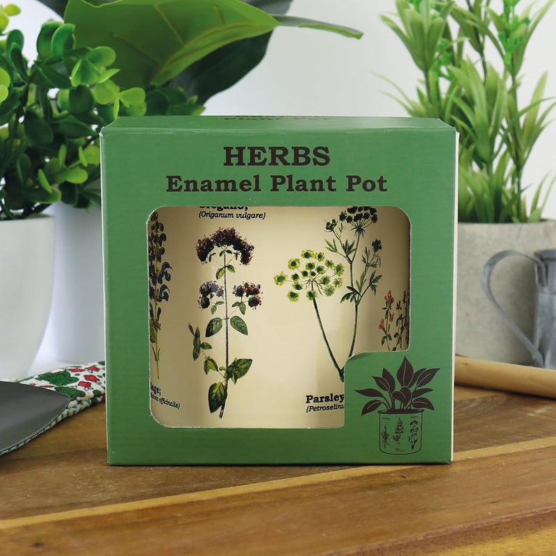 Enamel Plant Pot - Herbs