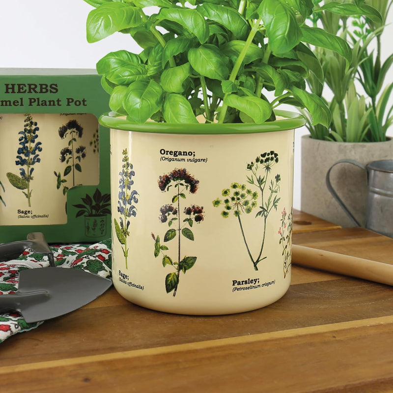 Enamel Plant Pot - Herbs