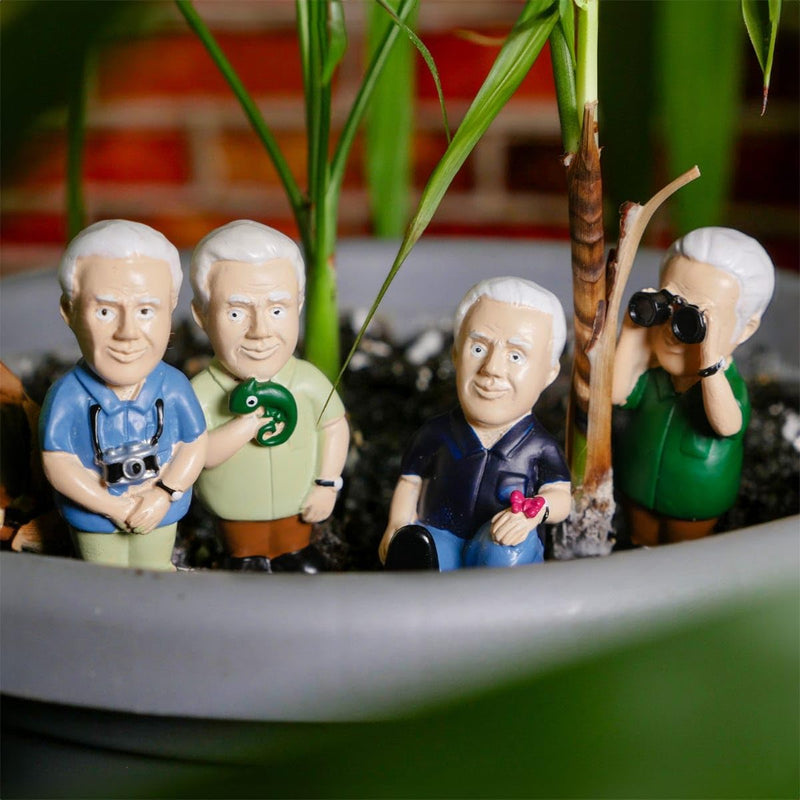 Mini Plant Pot Markers: Attenborough Explorers